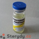 Testosteron Enantat