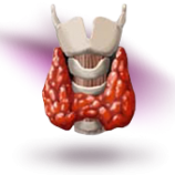 hormon tarczycy
