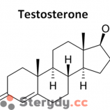 testosteron
