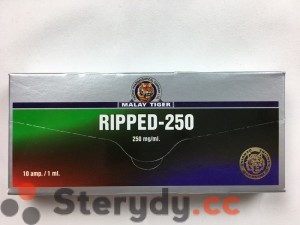 przód pudełka RIPPED-250
