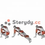 Co to jest Burpees