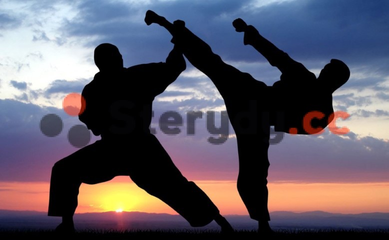 sterydy w sportach walki